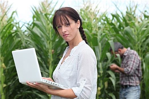 农事,情侣,笔记本电脑,地点,玉米