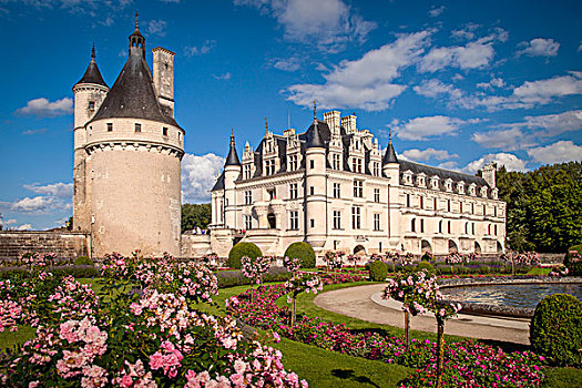 花园,仰视,古老,塔,舍农索城堡,卢瓦尔河,法国