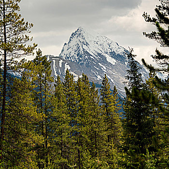 顶峰,邪恶,湖,碧玉国家公园,艾伯塔省,加拿大
