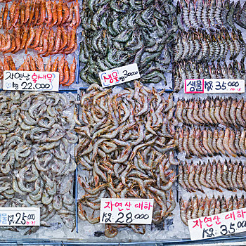 渔业,批发,市场,宽阔,零售,货摊,给,鱼肉,海鲜