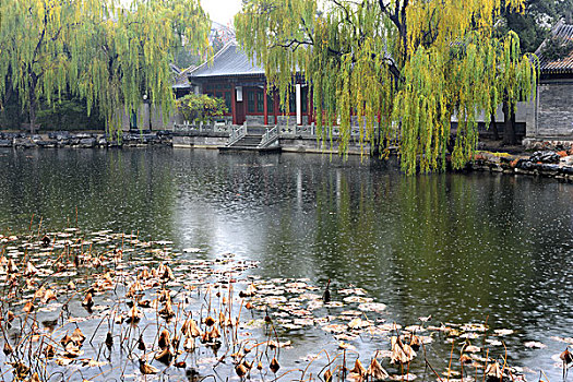 清华大学-水木清华