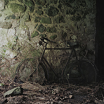 自行车,老,植物,墙壁,谷仓,安特里姆郡,北爱尔兰