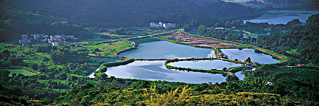 新,领土,香港