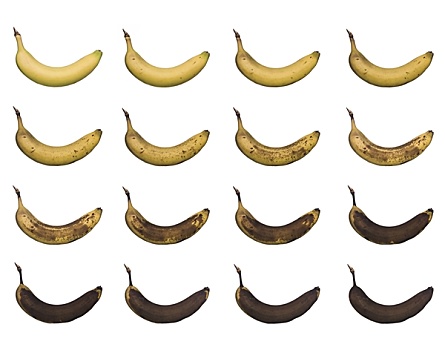 香蕉,进展,隔绝,白色背景