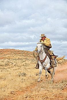 牛仔,骑,马,绳索,拿着,壳,怀俄明,美国