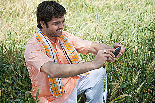 农民,拍照,作物,手机,印度