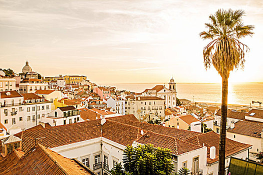 风景,上方,赤陶,屋顶,里斯本,葡萄牙,太阳,海洋
