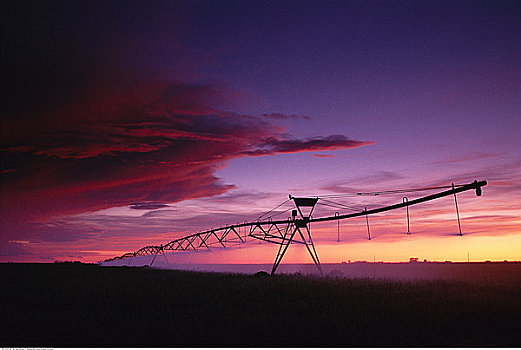 剪影,灌溉,日落,艾伯塔省,加拿大