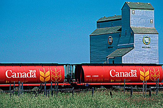谷仓,火车,曼尼托巴,加拿大