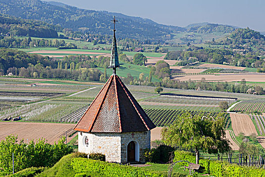 小教堂,靠近,巴登,区域,黑森林,巴登符腾堡,德国,欧洲