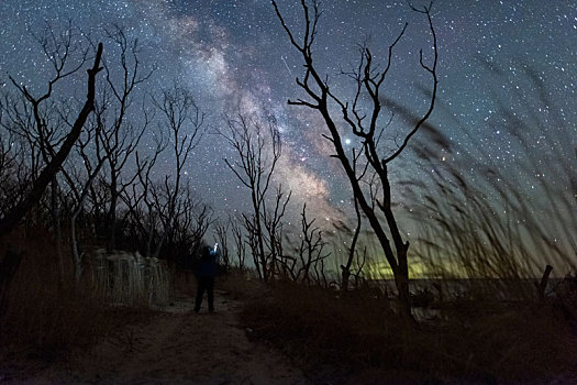 兴凯湖星空银河