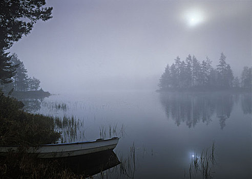 挪威,湖,云雾,树林