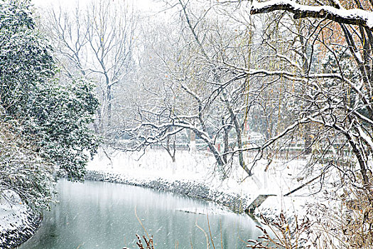 雪景