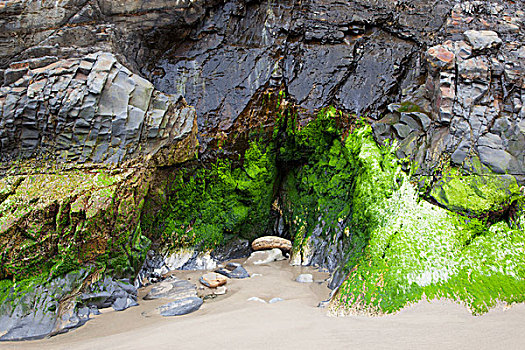 俄勒冈海岸,西部,州立公园,岩石构造,短小,沙滩