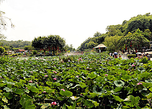 广州番禺莲花山