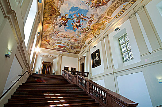 楼梯,天花板,壁画,列支敦士登,维也纳,奥地利,欧洲