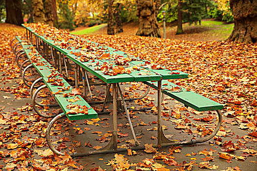 长,秋天,野餐桌
