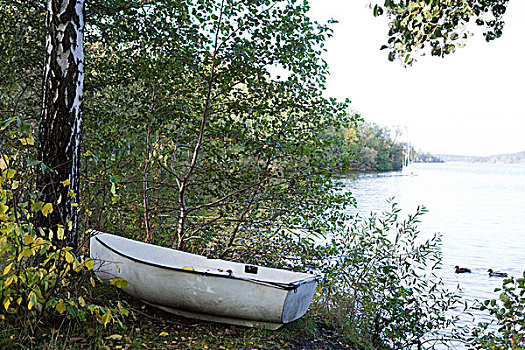 划桨船,湖,岸边