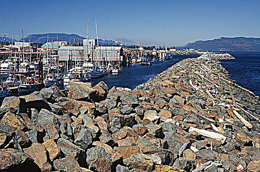 挡墙,公用,码头,温哥华岛,不列颠哥伦比亚省,加拿大