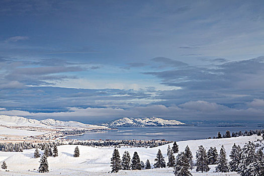 俯视,清新,下雪,蒙大拿,美国