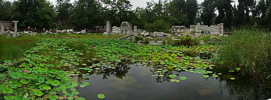 北京圆明园遗址公园