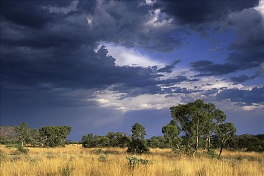 风暴,上方,山脉,北领地州,澳大利亚