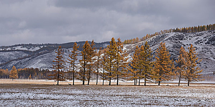 阿尔山雪景