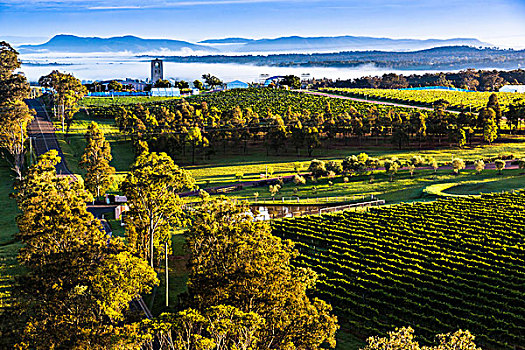 概述,葡萄酒,国家,附近的,魄可宾,猎人谷,新南威尔士,澳大利亚