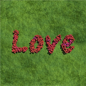 喜爱,创作,红色,花,草