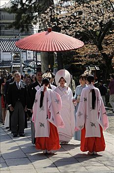 婚礼,传统,和服,毛发,遮盖,日本神道,神祠,京都,日本,亚洲