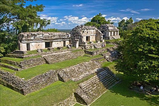 俯拍,古遗址,建筑,北方,帕伦克,恰帕斯,墨西哥