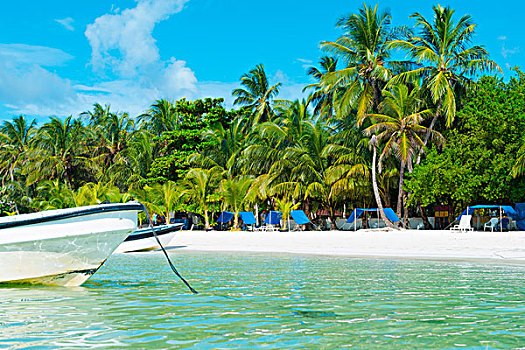 泊船,加勒比,海滩,棕榈树,圣安德烈斯岛,岛屿,哥伦比亚