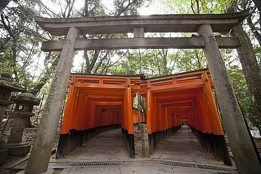 伏见稻荷大社,京都,京都府,关西地区,本州,日本