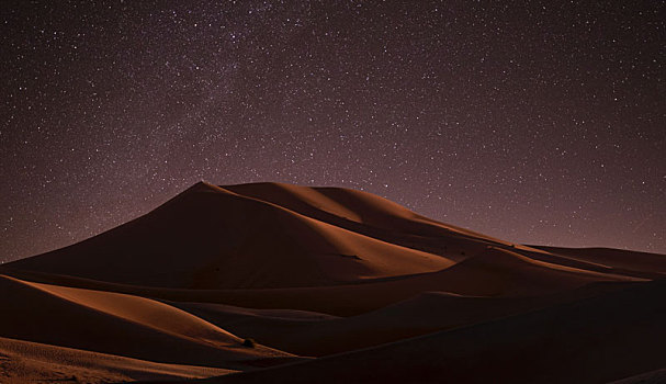 沙漠之夜