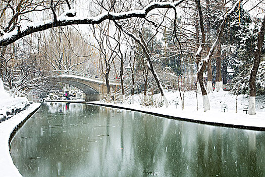 雪景