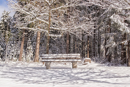 木制长椅,冬季风景