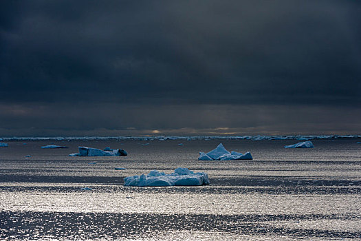 浮冰,海景,乌云,海峡,分隔,陆地,斯瓦尔巴特群岛,岛屿,挪威
