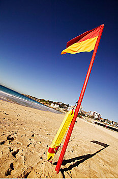 安全,旗帜,海滩,悉尼,新南威尔士