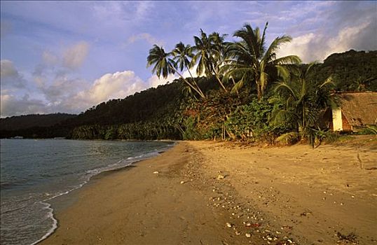 马来西亚,岛屿,海滩
