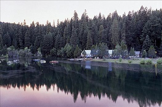 湖,树林,州立公园,加利福尼亚,美国,北美