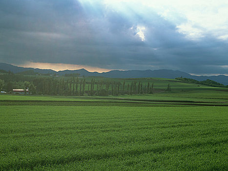 田园,亮光