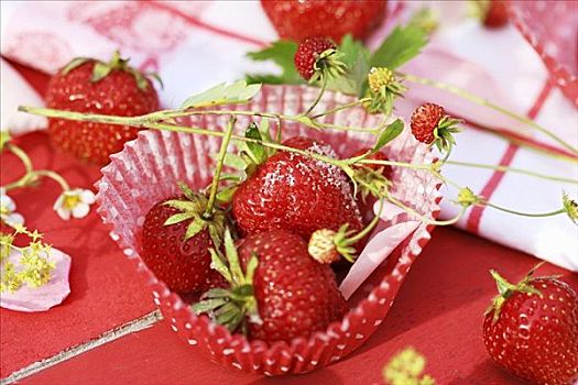 草莓,野草莓,松饼杯