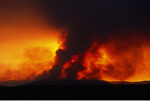 森林火灾,日落,科罗拉多,美国
