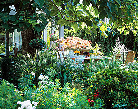 桌子,咖啡,茂盛,绿色植物,花园