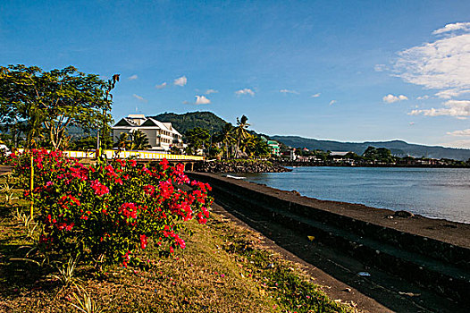 湾,酒店,著名,背景,乌波卢岛,萨摩亚群岛,南太平洋