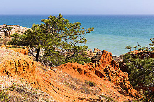 砂岩,风景,阿尔布斐拉,阿尔加维,葡萄牙