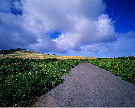 空路,复活节岛,智利