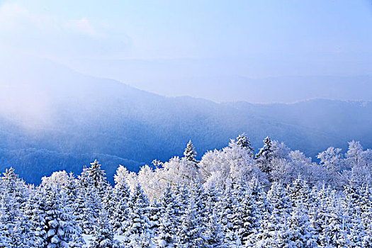 吉林省仙峰国家森林公园雪凇雪景