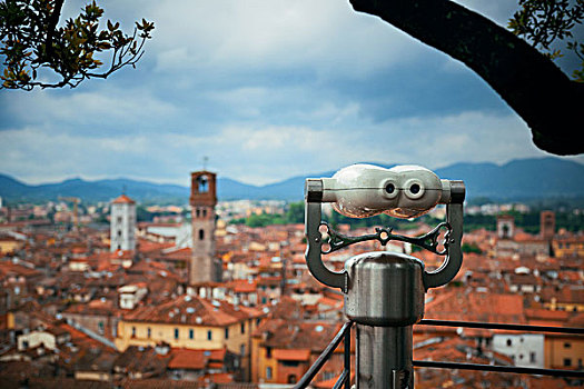 塔,卢卡,屋顶,风景,古建筑,意大利