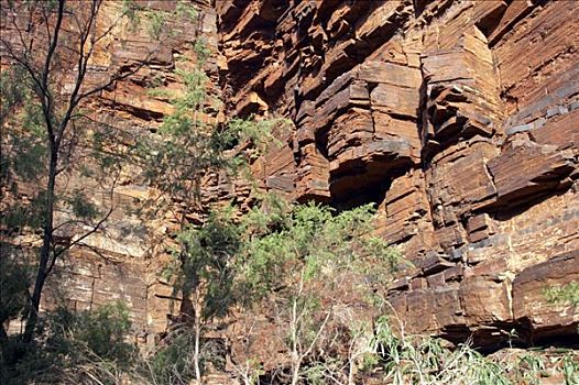 红岩,峡谷,卡瑞吉尼国家公园,区域,西澳大利亚